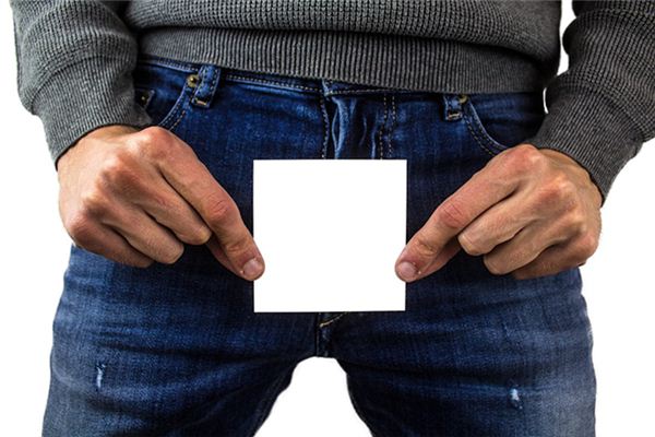 做梦梦到阳物是什么意思